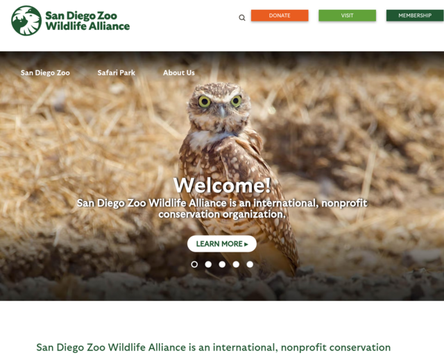 Screenshot of the San Diego Zoo website