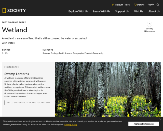 Screenshot of the Wetlands @ National Geographic website