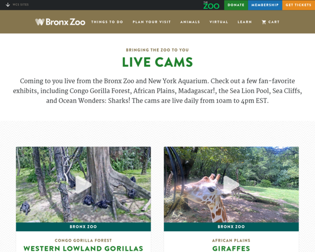 Screenshot of the Bronx Zoo website