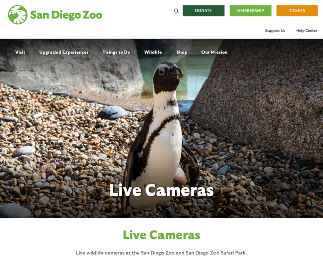 Screenshot of the San Diego Zoo website