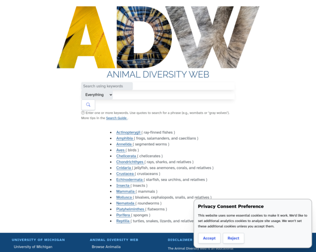 Screenshot of the Animal Diversity Web website