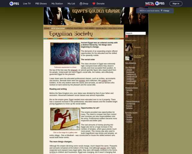 Screenshot of the Egyptian Society website