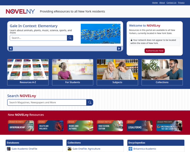 Screenshot of the Novel New York website