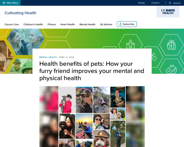 Screenshot of the Health Benefits of Pets website