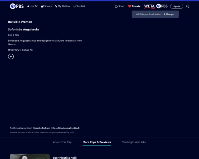 Screenshot of the Invisible Women Clip website