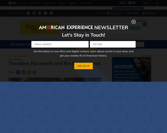 Screenshot of the PBS American Experience website