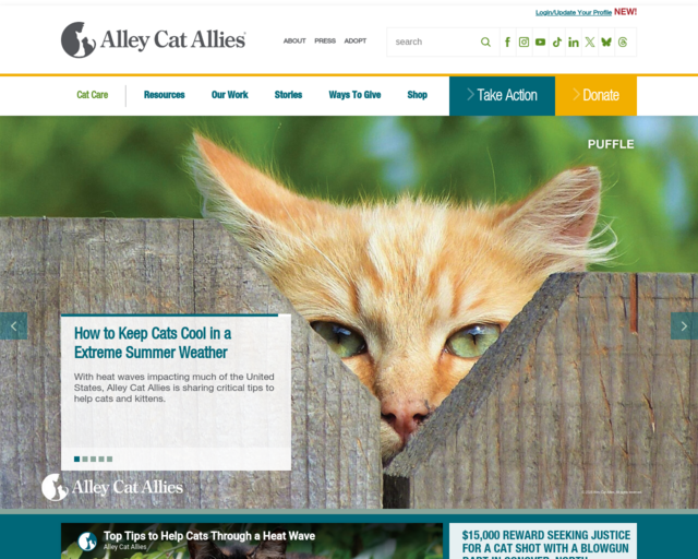Screenshot of the Alley Cat Allies website