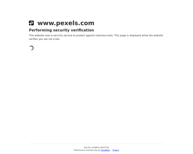 Screenshot of the Pexels - Images and Videos website