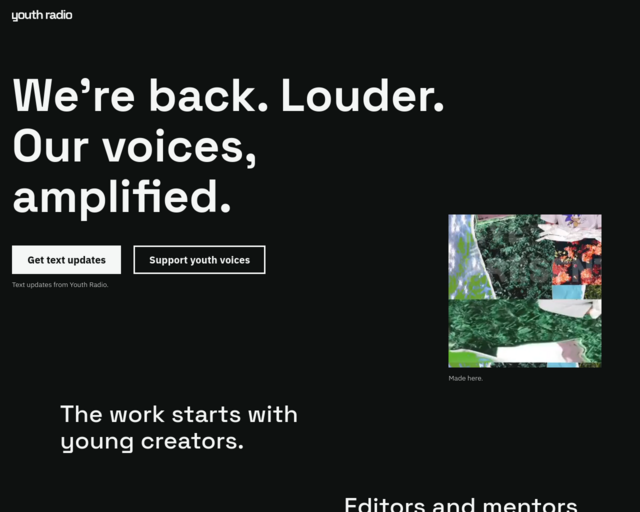 Screenshot of the Fundamentals of Field Recording website