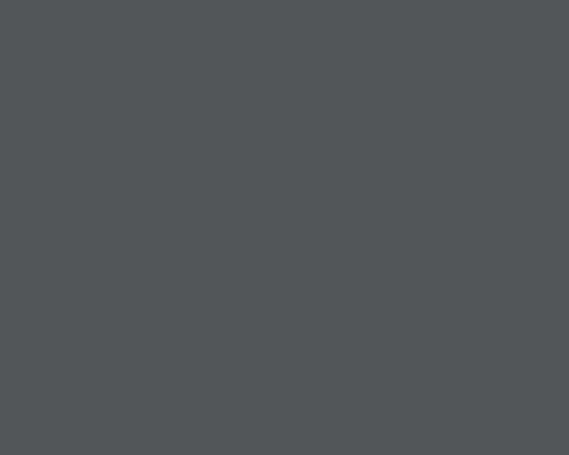 Screenshot of the DeathPenalty.org Information Page (Capital Punishment) website