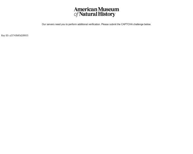 Screenshot of the American Museum of Natural History website