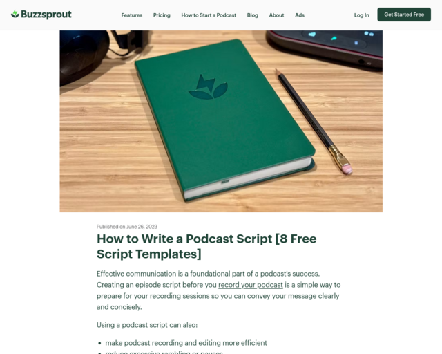 Screenshot of the Scripting Options - Tips website